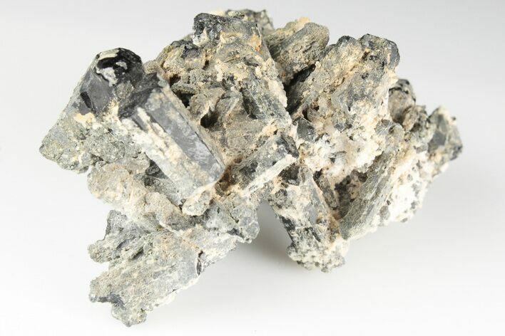 Black Tourmaline (Schorl) Crystal Cluster - Mexico #190549